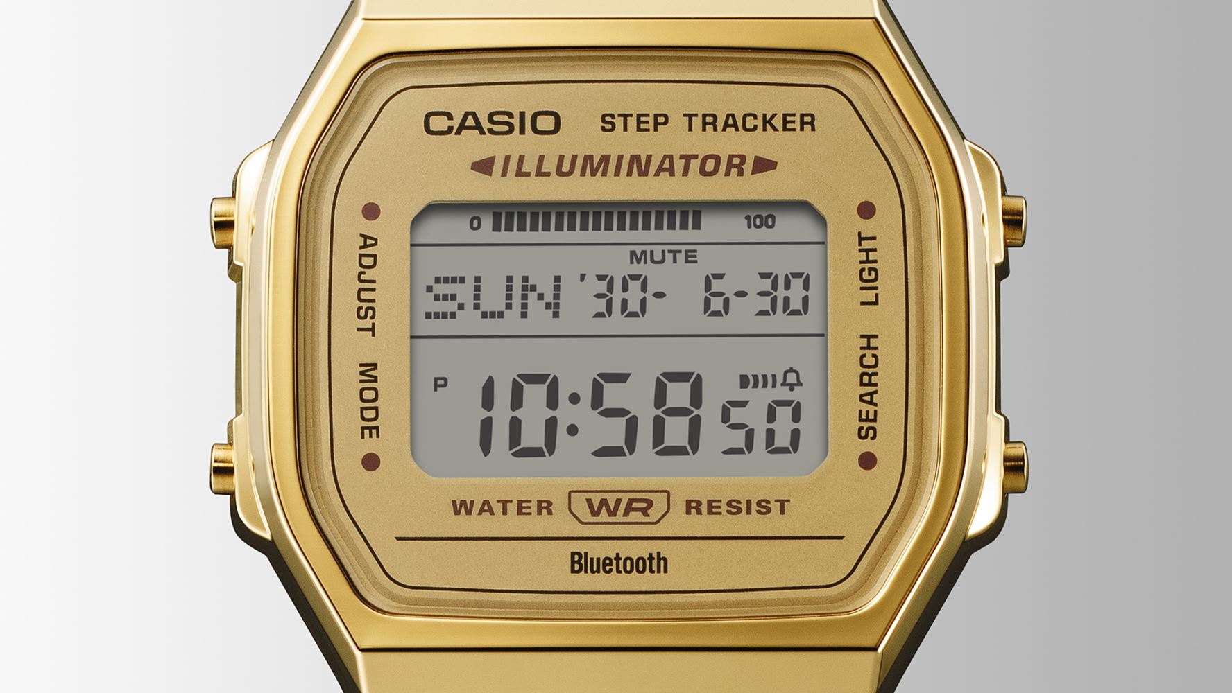 CASIO ABL-100WEG-9ADF Kol Saati