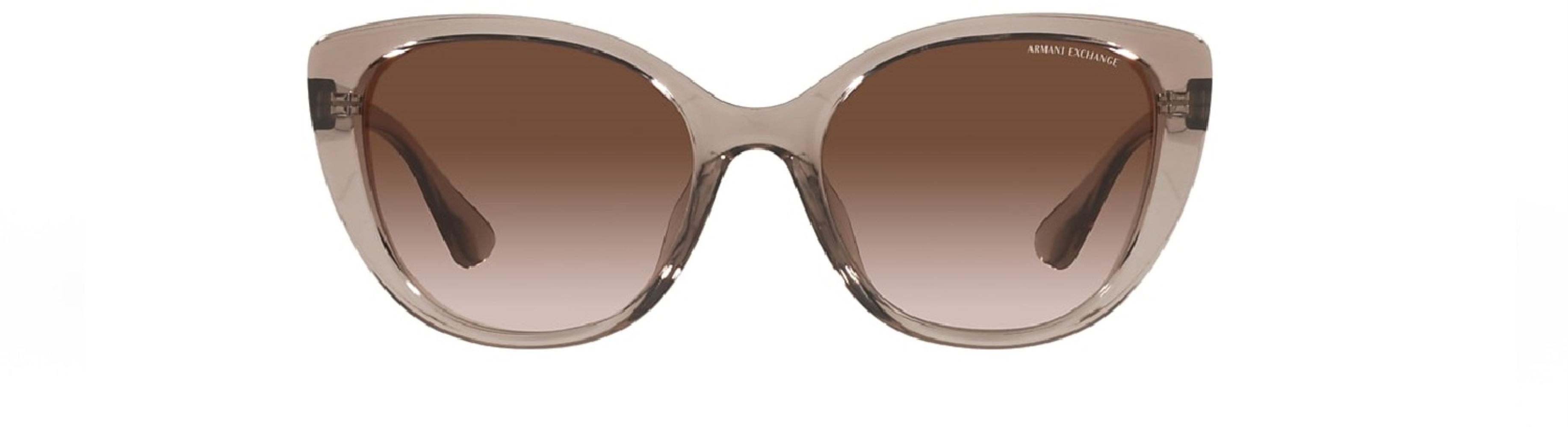 AX-0AX4111SU-824013-54 Güneş Gözlüğü