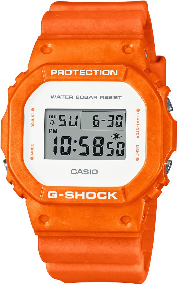 DW-5600WS-4DR
