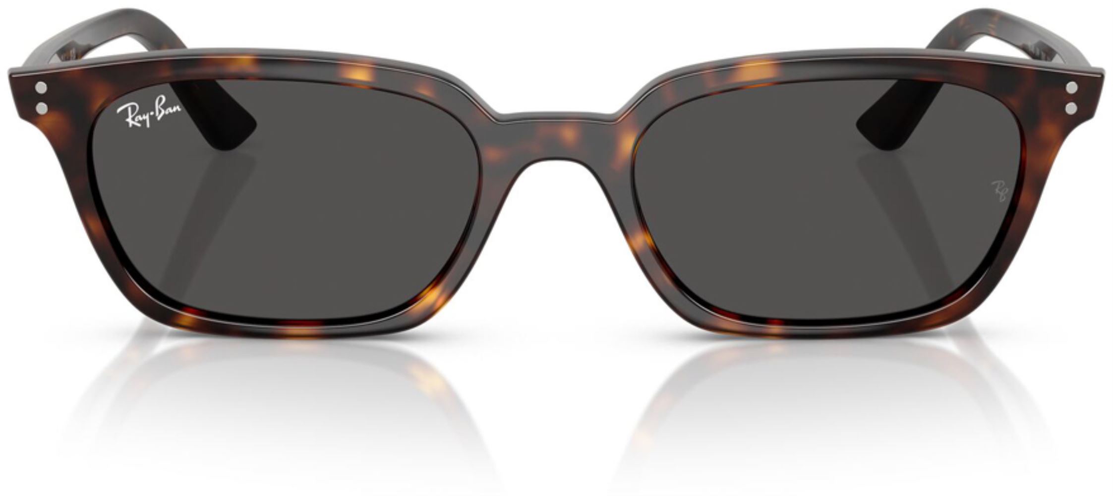 RB-0RB4456-135987-50 Güneş Gözlüğü