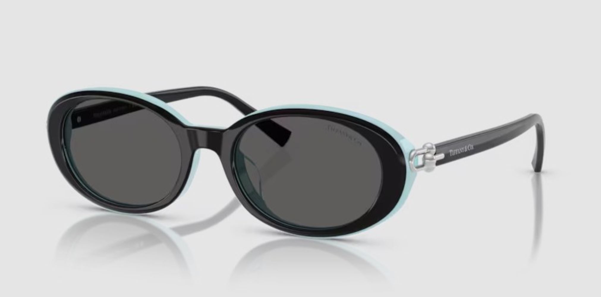 TF-0TF4242D-8055S4-54 Güneş Gözlüğü