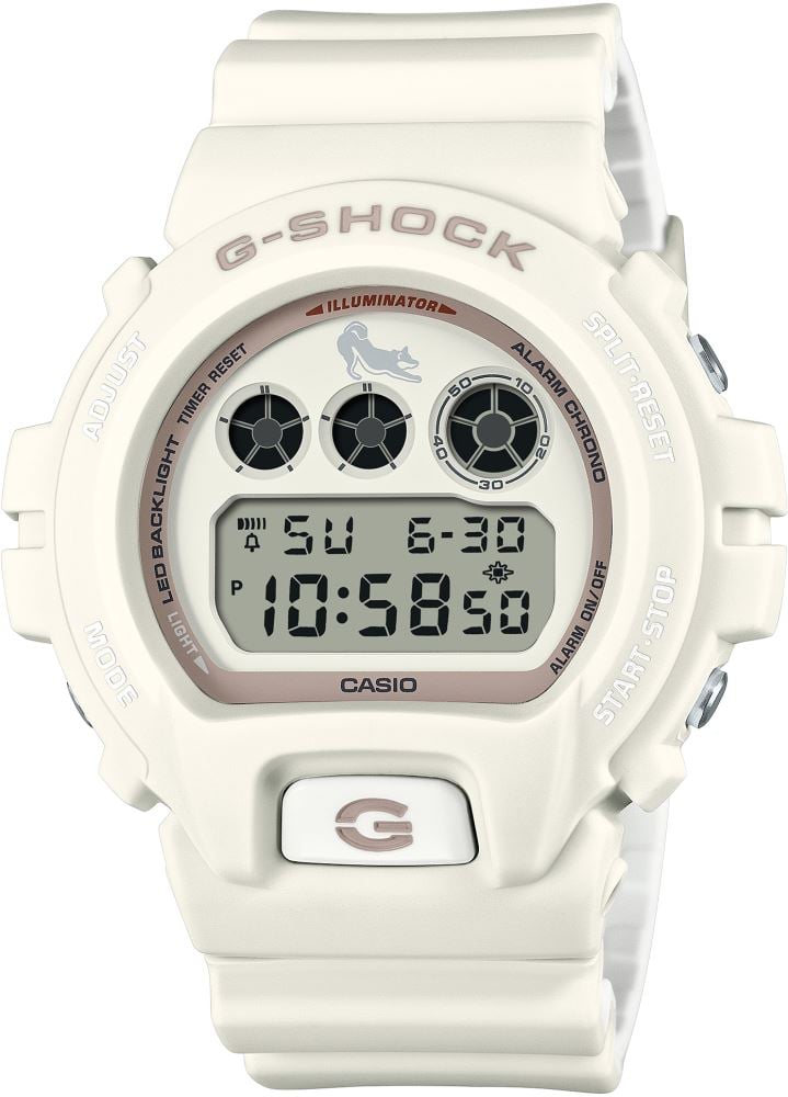 Casio DW-6900SHB-7DR Kol Saati