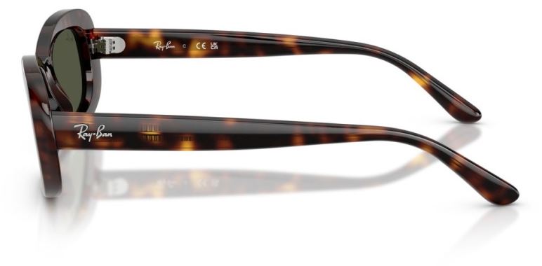 Ray-Ban RB-0RB2221-902.31-56 Güneş Gözlüğü
