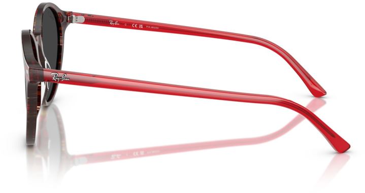 Ray-Ban RB-0RB2230-141948-51 Güneş Gözlüğü