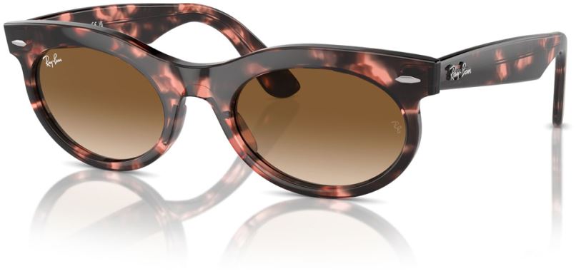 Ray-Ban RB-0RB2242-133451-50 Güneş Gözlüğü