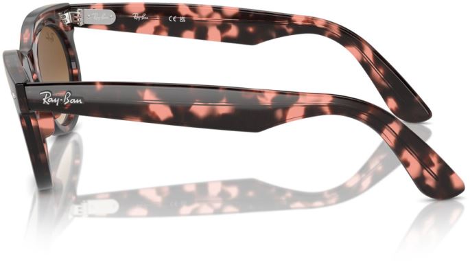 Ray-Ban RB-0RB2242-133451-50 Güneş Gözlüğü