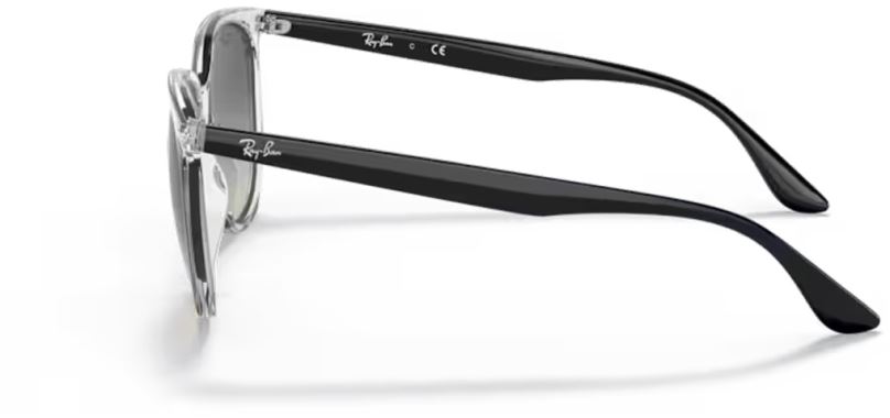 RB-0RB4378-647711-54 Güneş Gözlüğü