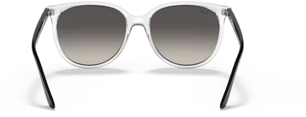 RB-0RB4378-647711-54 Güneş Gözlüğü