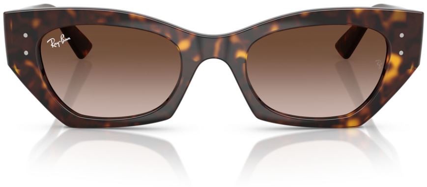 RB-0RB4430-135913-49 Güneş Gözlüğü