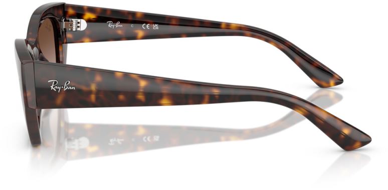 RB-0RB4430-135913-49 Güneş Gözlüğü