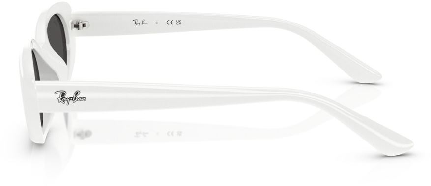 Ray-Ban RB-0RB4441D-677287-53 Güneş Gözlüğü