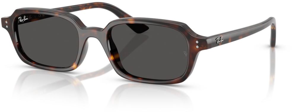 Ray-Ban RB-0RB4455-135987-49 Güneş Gözlüğü