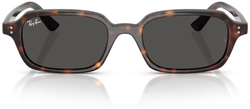 Ray-Ban RB-0RB4455-135987-49 Güneş Gözlüğü