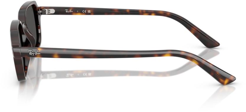 Ray-Ban RB-0RB4455-135987-49 Güneş Gözlüğü
