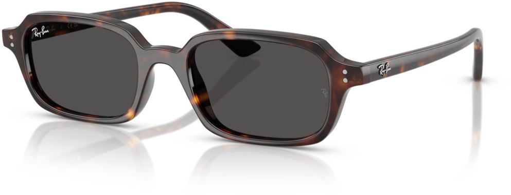 Ray-Ban RB-0RB4455-135987-52 Güneş Gözlüğü