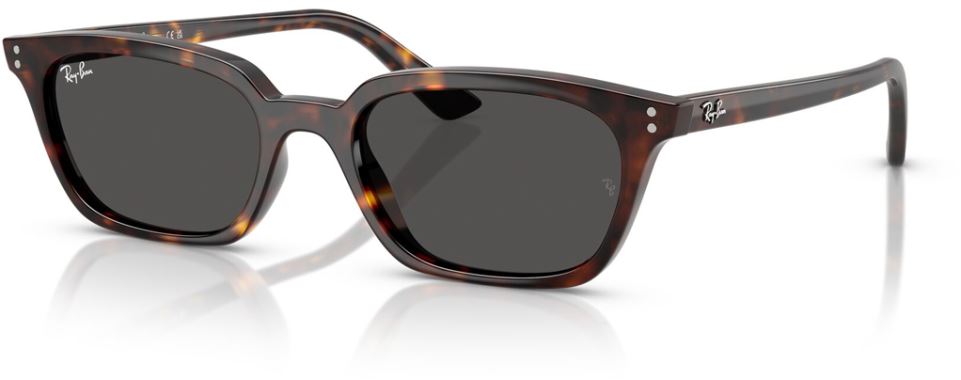 RB-0RB4456-135987-50 Güneş Gözlüğü