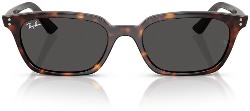 RB-0RB4456-135987-50 Güneş Gözlüğü