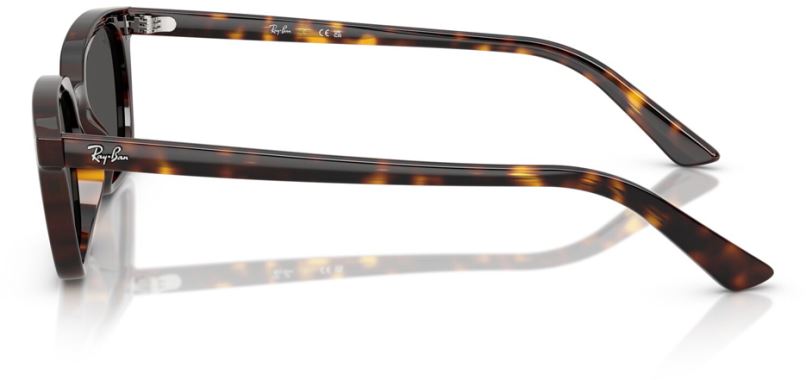 RB-0RB4456-135987-50 Güneş Gözlüğü