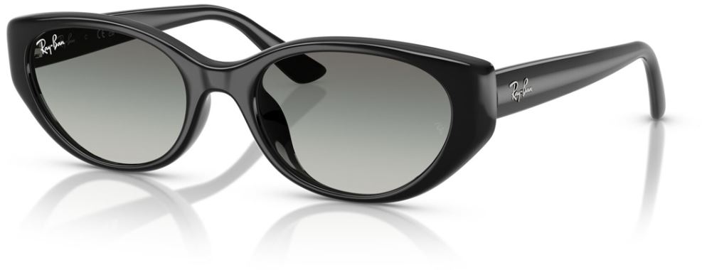 Ray-Ban RB-0RB4457D-667711-55 Güneş Gözlüğü