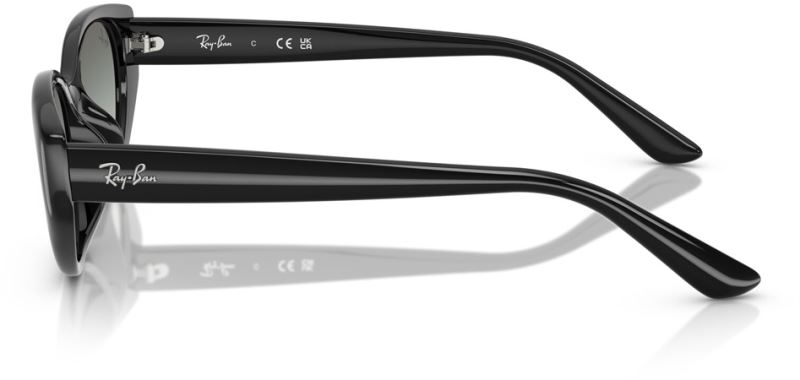 RB-0RB4457D-667711-55 Güneş Gözlüğü