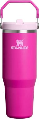 Stanley Stanley-10-12043-076-0.89LT-Mercan Termos