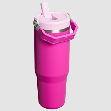 Stanley Stanley-10-13424-060-0.89LT-Menekşe Termos