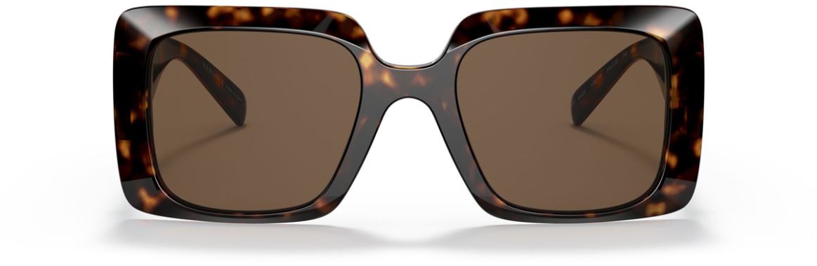 Versace VE-0VE4405-108.73-54 Güneş Gözlüğü