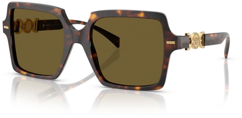 Versace VE-0VE4441-108.73-55 Güneş Gözlüğü