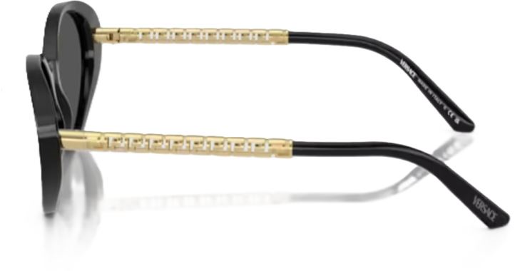 Versace VE-0VE4469-GB1.87-54 Güneş Gözlüğü