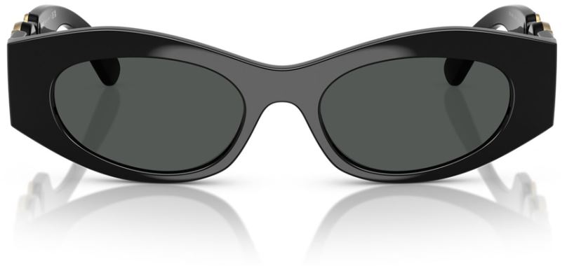 Versace VE-0VE4480U-GB1.87-51 Güneş Gözlüğü