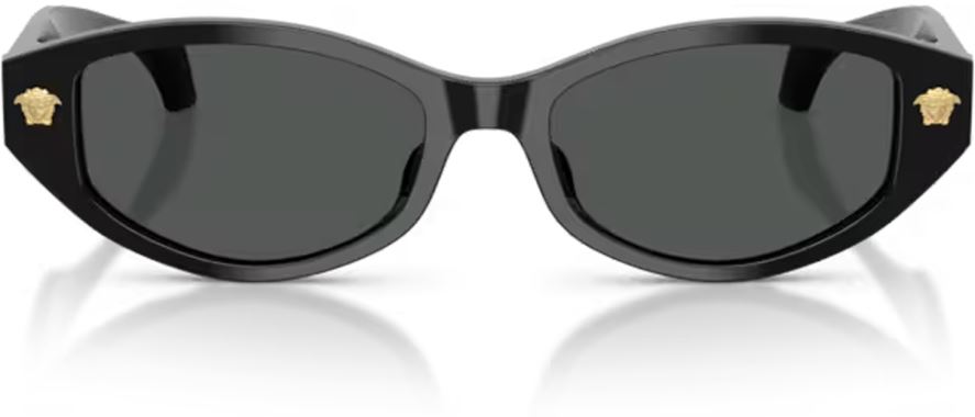 Versace VE-0VE4512D-GB1.87-54 Güneş Gözlüğü