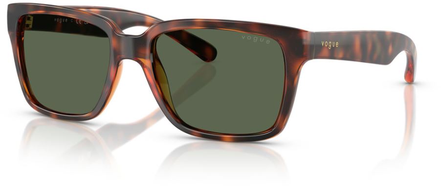 Vogue VO-0VO5648SI-271871-54 Güneş Gözlüğü